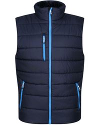 Regatta - Navigate Thermal Body Warmer /French) - Lyst
