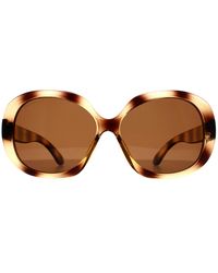 Montana - Butterfly Shiny Soft Demi Polarized Mp63 - Lyst