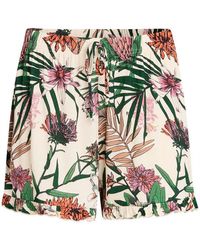 CCDK - Linda Shorts Ld99 - Lyst