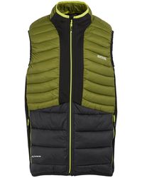 Regatta - Leedre Hybrid Gilet (Nephrite/ - Lyst