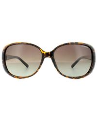 Polaroid - Butterfly Havana Gradient Polarized Sunglasses - Lyst