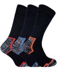 Sock Snob - 3 Pairs Heavy Duty Cotton Cushioned Work Boot Socks - Lyst