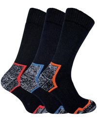 Sock Snob - 3 Pairs Heavy Duty Cotton Cushioned Work Boot Socks - Lyst