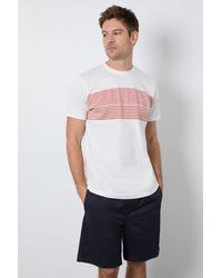 MAINE - Engineered Stripe T-Shirt Cotton - Lyst