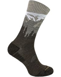 Comodo - Lichte Performance Crew Merino Wol Sokken - Lyst
