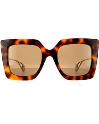 Gucci - Square Havana And Sunglasses - Lyst