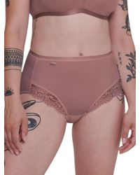 Sloggi - Romance Maxi Brief - Lyst