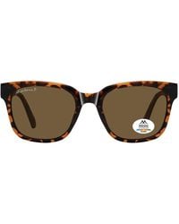Montana - Square S Shiny Turtle Polarized Mp54 - Lyst
