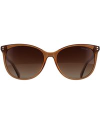Polaroid - Cat Eye Champagne Gradient Polarized Pld 4200/Sx - Lyst