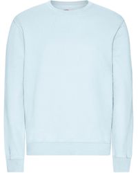 COLORFUL STANDARD - Classic Organic Crew Neck Sweatshirt - Lyst