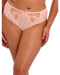 Elomi - Himari High Leg Brief - Lyst