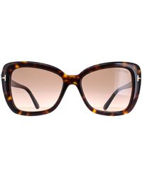 Tom Ford - Square Dark Havana Gradient Maeve Ft1008 - Lyst