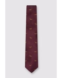 Antique Rogue - Patterned Tie - Lyst