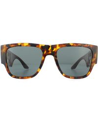 Versace - Sunglasses Ve4403 511987 Havana Dark - Lyst