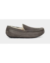 UGG - Ugg Ascot Slipper - Lyst