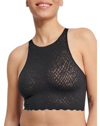 Sloggi - Zero Feel Bliss Crop Top - Lyst
