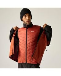 Regatta - Sacramento 3 - Lyst