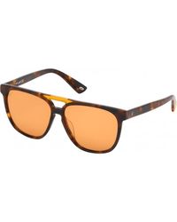 WEB EYEWEAR - We0263-5956J We0263 59 5956J Sunglasses - Lyst