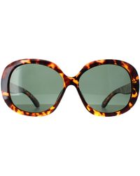 Montana - Butterfly Shiny Turtle G15 Polarized Mp63 - Lyst