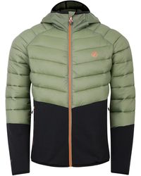 Dare 2b - Torrek Hybrid Jacket (Olivine) - Lyst