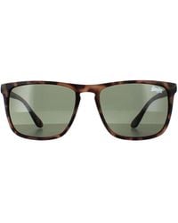 Superdry - Rectangle Satin Spotted Havana Shockwave - Lyst