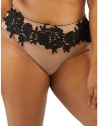 Playful Promises - Ppghw086 Alaina Mesh And Applique Brief - Lyst