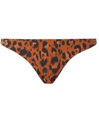 Freya - Roar Instinct Brazilian Bikini Brief - Lyst