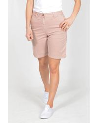 Secret Label - Casual Cotton Chino Shorts - Lyst