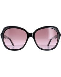 Ted Baker - Butterfly Gradient Tb1645 Kim - Lyst
