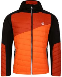 Dare 2b - Touring Contrast Panel Hybrid Jacket (Puffins/Rooibos Tea) - Lyst