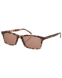 Zen - Z405 Rectangular Shape Acetate Sunglasses - Lyst