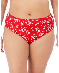 Elomi - 7275 Plain Sailing Bikini Brief - Lyst