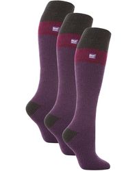 Heat Holders - 3 Pack Ladies Thermal Knee High Ski Socks - Lyst