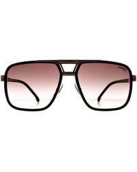 Carrera - Aviator Mirror On Burgundy Gradient 1071/S - Lyst