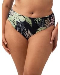Elomi - Tropical Retreat Bikini Brief - Lyst