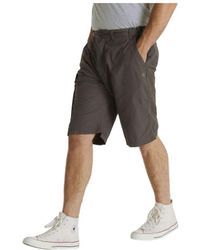 Craghoppers - Kiwi Long Length Shorts (Bark) - Lyst