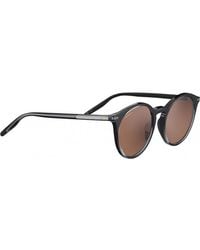 Serengeti - Ss028002 51 Leonora Sunglasses - Lyst