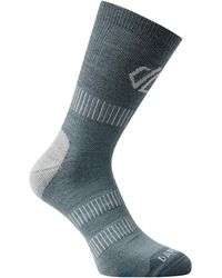 Dare 2b - Adult Merino Wool Walking Socks (Stormy Weather Marl) - Lyst