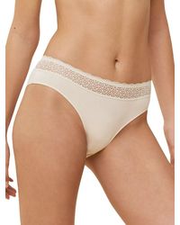 Triumph - Feel Of Modal Tai - Lyst