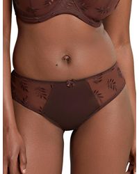 Panache - 9092 Tango Brief - Lyst