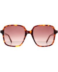 Ted Baker - Sunglasses Tb1688 100 52 - Lyst