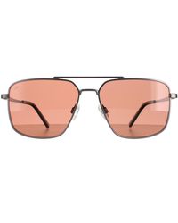 Serengeti - Aviator Matte Gunmetal Saturn Polarized Sedona Aitkin - Lyst