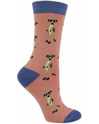 Miss Sparrow - 1 Pack Ladies Novelty Animal Patterned Bamboo Socks - Lyst