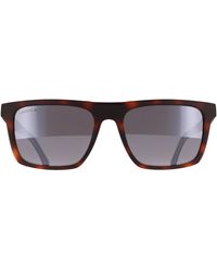 Lacoste - Rectangle Matte Havana L957S - Lyst