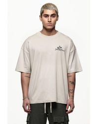 Good For Nothing - Light Grey Oversized Cotton T-shirt With Graphic Butterfly Print - Lyst