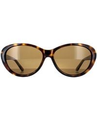 Ted Baker - Oval Havana Gradient Tb1315 Cougar - Lyst