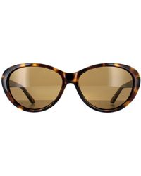 Ted Baker - Oval Havana Gradient Tb1315 Cougar - Lyst