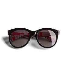 Ted Baker - Manhatn Printed Sunglasses - Lyst