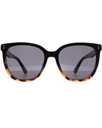 Montana - Butterfly Shiny Turtle Smoke Polarized Mp190 - Lyst
