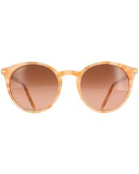 Serengeti - Round Shiny Peach Marble Mineral Polarized Drivers Gradient Leonora - Lyst